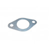 Carburetor gasket sole