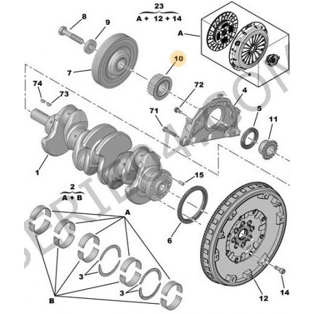 21 tooth crankshaft sprocket