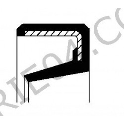 Joint spi 43x60x10