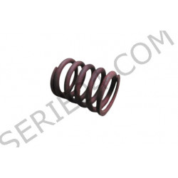 valve spring