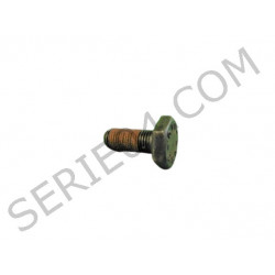 flywheel screw