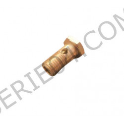 hollow screw