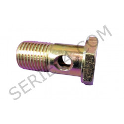 hollow screw