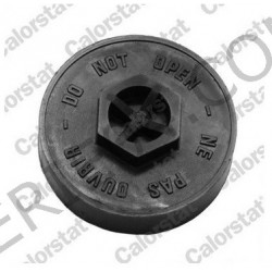 radiator cap