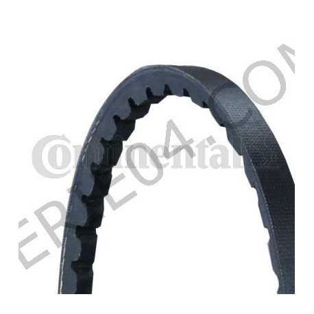 Belt 10A975mm