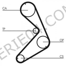 cinghia di distribuzione 118 denti