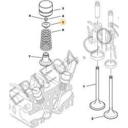 cuvette de ressort de soupape