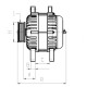 exchange alternator standard