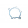 Water pump gasket