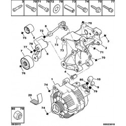 rodillo tensor del alternador