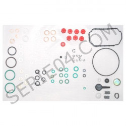 Bosch-Lucas injection pump seal kit