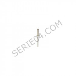 rivet blanc de plaque d'immatriculation - SERIE04 SARL
