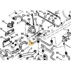 thermostat hose