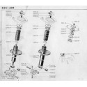 204-304 Ammortizzatore posteriore